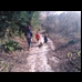 thumbnail Time for a nice walk in Cann Woods